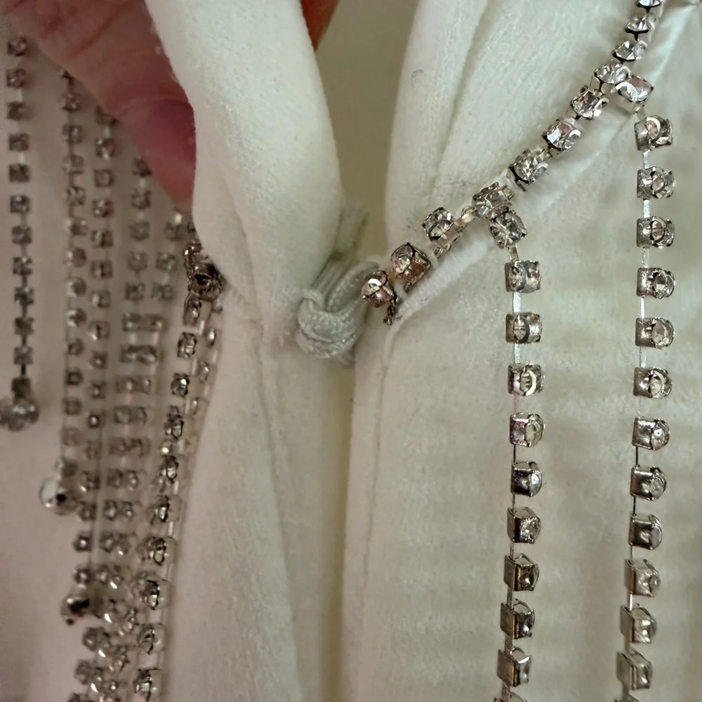 ASOS LUXE Fitted Blazer with Diamante fringe detailing - size 6 - Picture 5 of 9